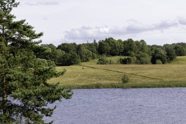  Karşı kıyıda yemyeşil bir kırsal arazisi olan sakin bir göl manzarası, yeni biçilmiş tarlalar ve ormanlar..