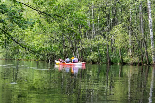 Sakin bir nehir boyunca bir kano kürek çeken iki kişi, üzerinde yeşil dallar ve yemyeşil ağaçlar ile çerçevelenmiş, somut takım çalışması ve barışçıl keşif..