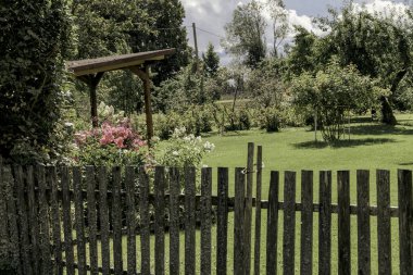 Kırsal bir bahçenin klasik manzarası. Kırsal ahşap bir çit, çiçek açan çiçekler ve yaz gökyüzünün altında yeşil bir çimen..
