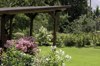 Önünde büyük, güzel, beyaz bir ortanca çalısı ve yakınındaki diğer çiçeklerle bir bahçe çardağının huzurlu manzarası..