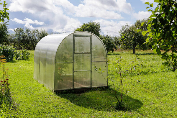 A view of a small, modern plastic greenhouse in a sunny garden with green lawn and trees in the background.