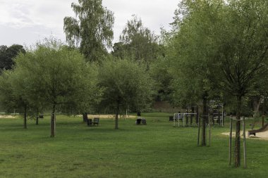 Yeni kesilmiş çimenli bir park alanı, arka planda genç söğüt ağaçları, park bankları, ve arka planda bir açık hava egzersiz ekipmanları alanı.