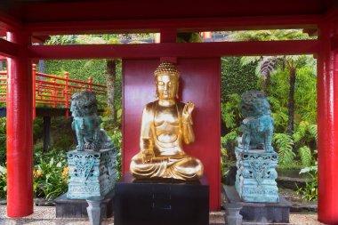 Madeira Adası 'ndaki Botanik Bahçesi' nde bir Budda heykeli.