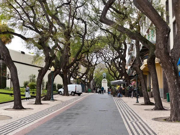 Esta Avenida Conduce Estatua Joao Goncalves Banko Portugal Funchal Isla — Foto de Stock