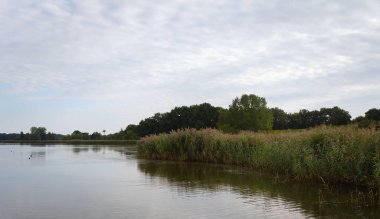 Almanya 'nın kuzeyinde Schleswig kasabası yakınlarındaki tarihi Viking kasabası Haithabu' nun çevresi.