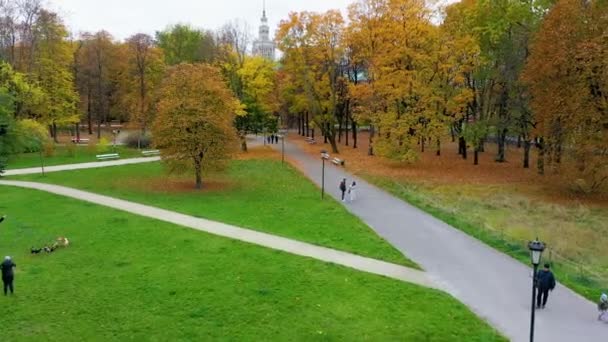 Aerial View Saskis Garden Warsaw Poland High Quality Footage — Stockvideo
