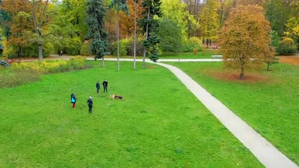 Aerial View Saskis Garden Warsaw Poland High Quality Footage — Stockvideo