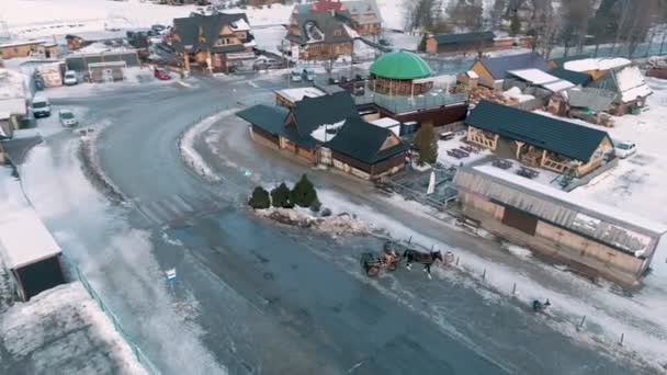 Winter Aerial View Carriage Horse Zakopane High Quality Footage — Stockvideo