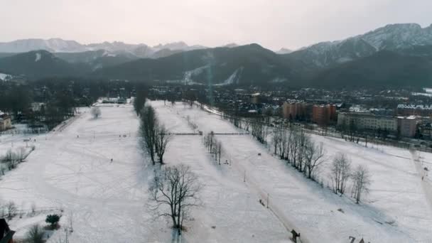 Winter Aerial View Glade Mountains Zakopane High Quality Footage — Wideo stockowe