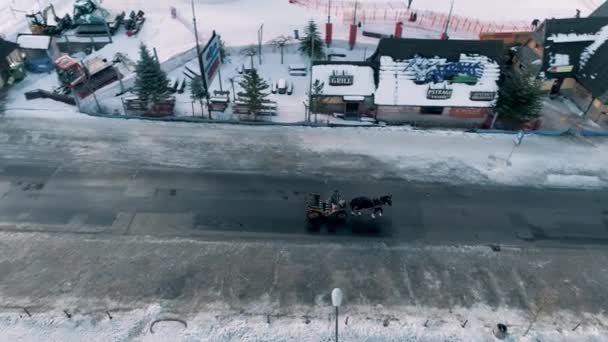 Winter Aerial View Carriage Horse Zakopane High Quality Footage — Stockvideo