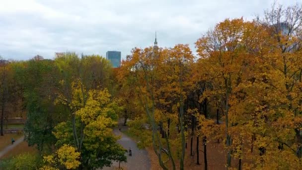 Aerial View Saskis Garden Warsaw Poland High Quality Footage — Stockvideo