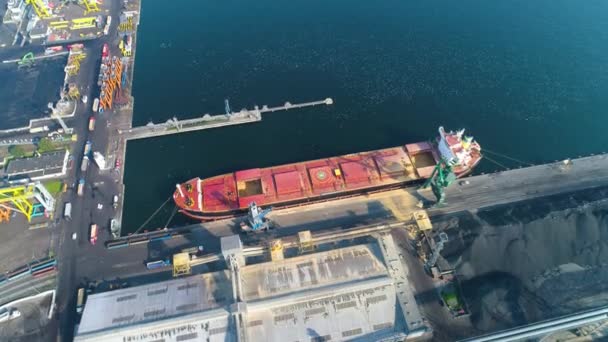 Aerial View Port Gdynia Summer Beautifull Footage Polish Town High — Stock videók