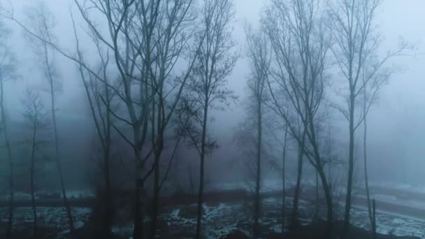 Aerial View Fog Copernicus Mound Cracow Majestic Footage High Quality — Stockvideo