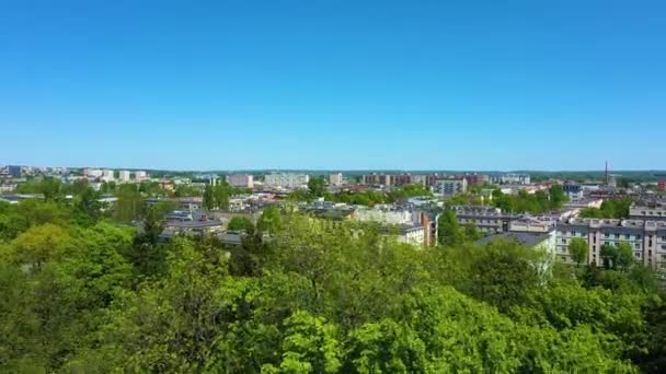 Aerial View Green Trees Buildings Czestochowa Summer Footage High Quality — Vídeo de Stock