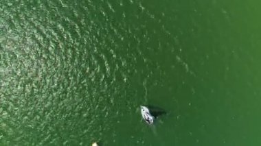 Top Down Boat At Solina Lake Bieszczady Aerial View Poland. High quality 4k footage