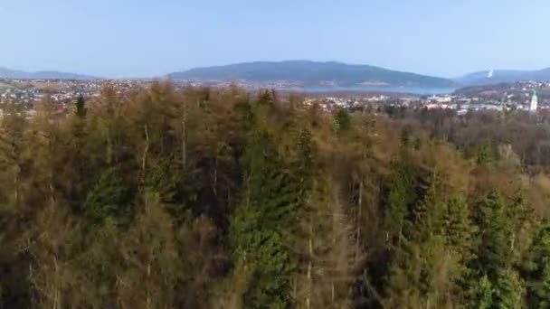 Hyperlapse Schönes Panorama Auf Zywiec Polnische Luftaufnahme Hochwertiges Filmmaterial — Stockvideo