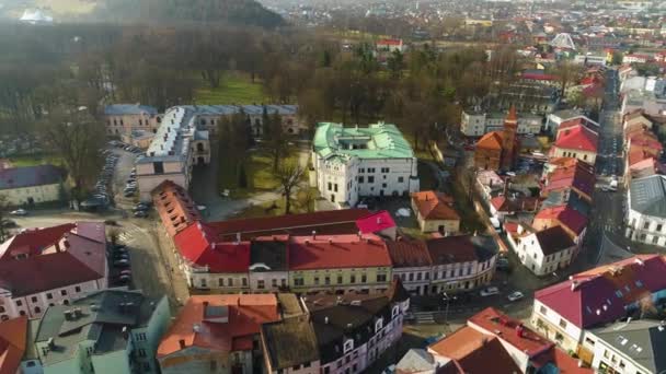 Museum Palace Park Zywiec Aerial View High Quality Footage — стокове відео