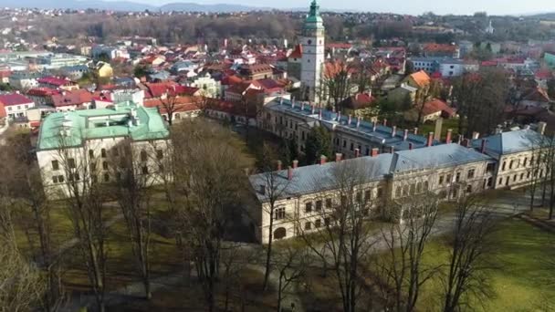 Habsburg Palace Park Zywiec Polish Aerial View High Quality Footage — 图库视频影像