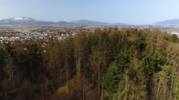 Beautiful Panorama Zywiec Polish Aerial View High Quality Footage — стокове відео