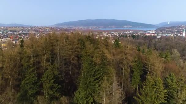 Beautiful Panorama Zywiec Polish Aerial View High Quality Footage — Stock video