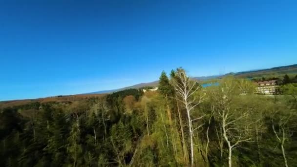 Fpv Flight Trees Polanczyk Bieszczady Aerial Poland High Quality Footage — 图库视频影像