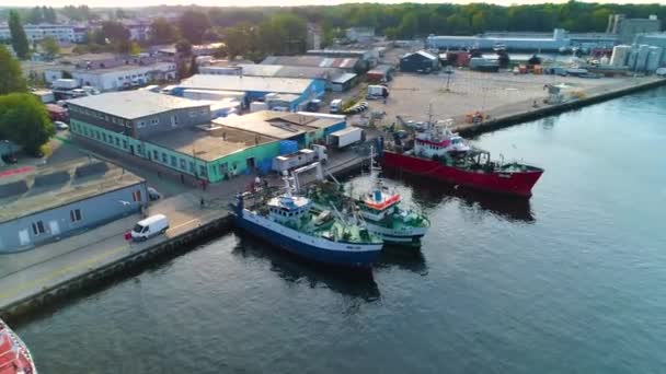 Boote Yacht Port Kolobrzeg Aerial View Polen Hochwertiges Filmmaterial — Stockvideo