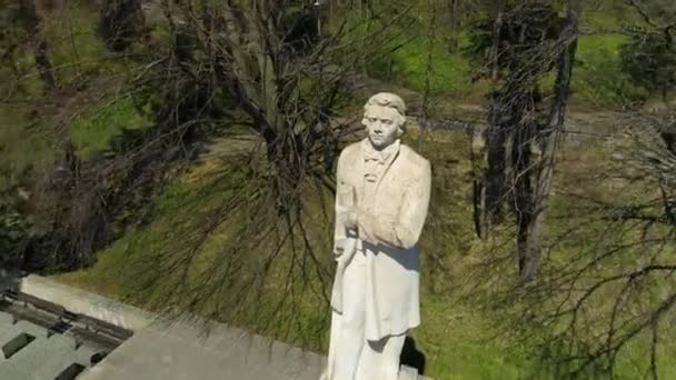 Kosciuszko Denkmal Sanok Pomnik Luftaufnahme Polen Hochwertiges Filmmaterial — Stockvideo
