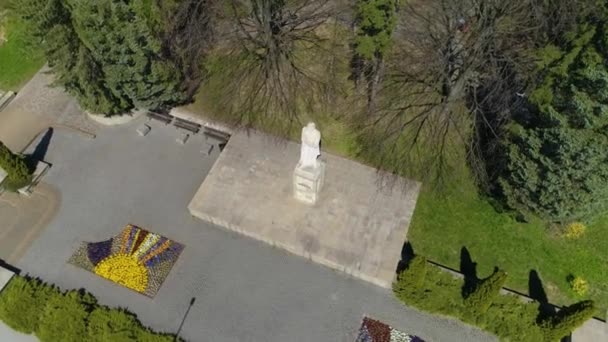 Kosciuszko Monument Sanok Pomnik Aerial View Poland High Quality Footage — Stock Video