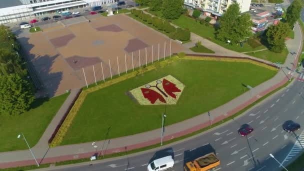 Image Flowers Elblag Aerial View Poland High Quality Footage — Stockvideo
