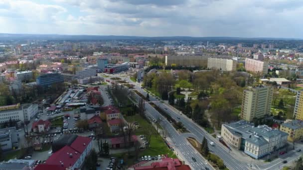 Όμορφο Πάρκο Πανόραμα Rzeszow Αεροφωτογραφία Πολωνία Υψηλής Ποιότητας Πλάνα — Αρχείο Βίντεο