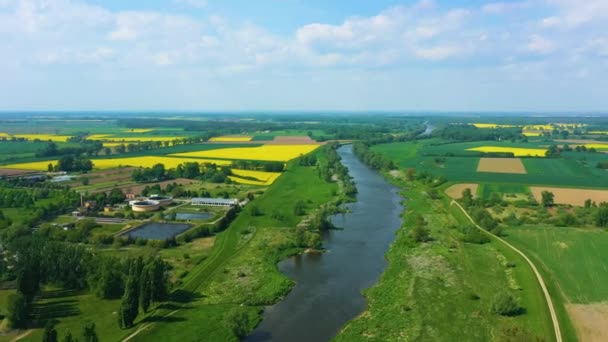 Beautiful Landscape River Odra Olawa Rzeka Aerial View Poland High — Stockvideo