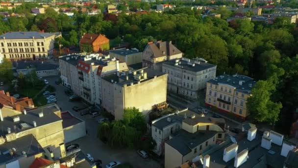 Beautiful Panorama Park Brzeg Aerial View Poland High Quality Footage — Stockvideo