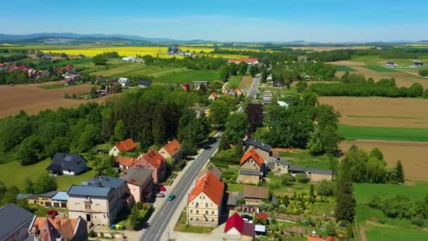 Beautiful Panorama Kamieniec Zabkowicki Aerial View Poland High Quality Footage — Stockvideo