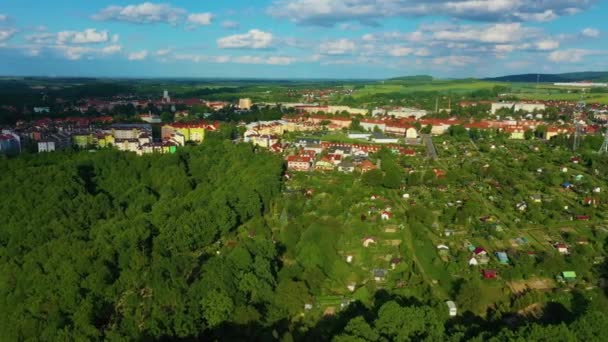 Panorama Houses Forest Zlotoryja Aerial View Poland High Quality Footage — Wideo stockowe