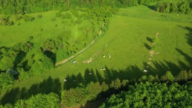 Beautiful Landscape Mountains Zloty Stok Gory Krajobraz Aerial View Poland. High quality 4k footage