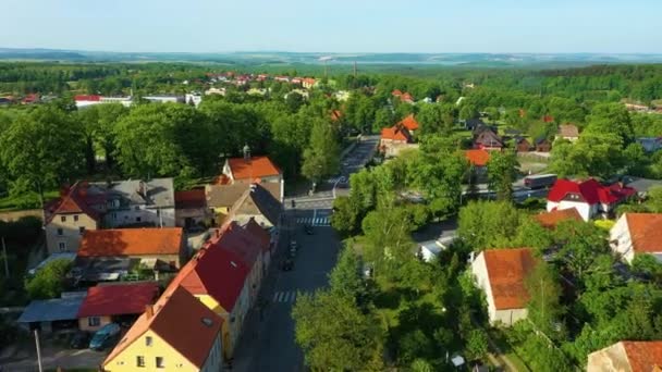Tájkép Házak Zloty Stok Las Domy Aerial View Lengyelország Kiváló — Stock videók