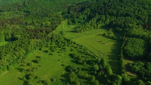 Piękne Góry Krajobrazowe Złoty Stok Gory Krajobraz Widok Powietrza Polska — Wideo stockowe