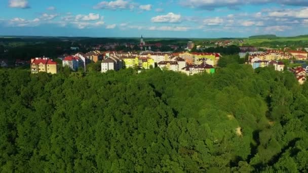 Panorama Houses Forest Zlotoryja Aerial View Poland High Quality Footage — Vídeo de Stock