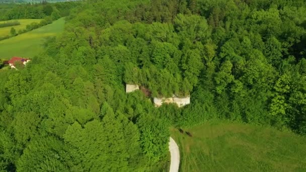 Góra Hillside Złoty Stok Zbocze Widok Lotu Ptaka Polska Wysokiej — Wideo stockowe