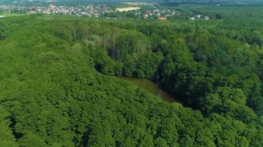 Gypsy Swamp Tomaszow Mazowiecki Cyganskie Bagno Aerial View Poland. High quality 4k footage
