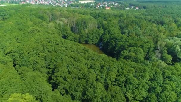 Gypsy Swamp Tomaszow Mazowiecki Cyganskie Bagno Aerial View Poland High — Stock videók