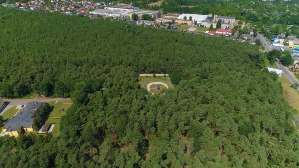 Complex Forest Tomaszow Mazowiecki Aerial View Poland High Quality Footage — 비디오