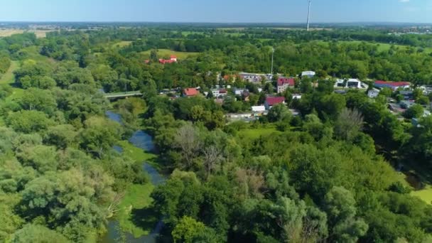 Beautiful Panorama Forest River Odra Glogow Aerial View Poland High — Stock video