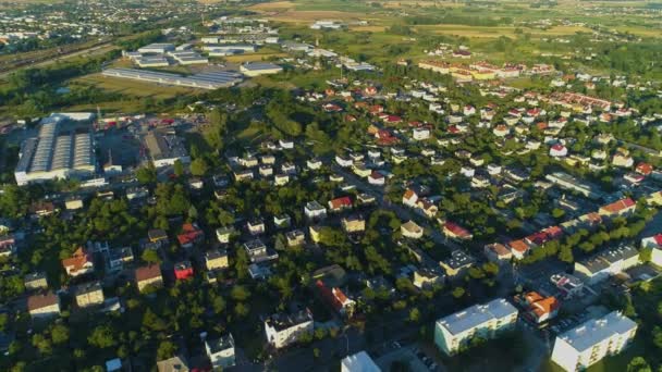 Güzel Manzara Gniezno Krajobraz Hava Manzarası Polonya Yüksek Kalite Görüntü — Stok video