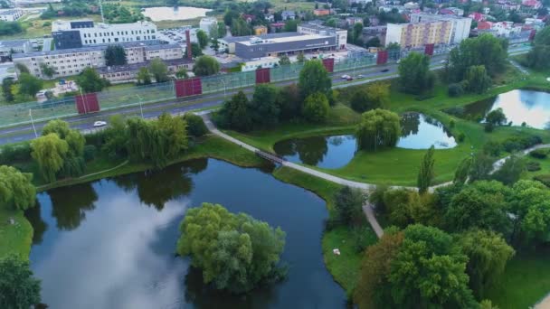 Vackra Dammar Park Przyjazni Kalisz Stawy Antenn View Poland Högkvalitativ — Stockvideo
