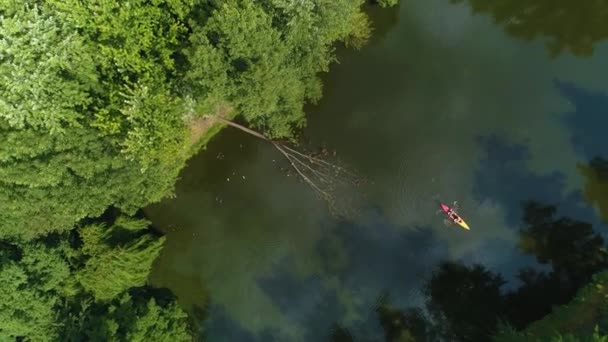 Падшее Дерево Каякские Пруды Прушкова Stawy Potulickich Aerial View Poland — стоковое видео
