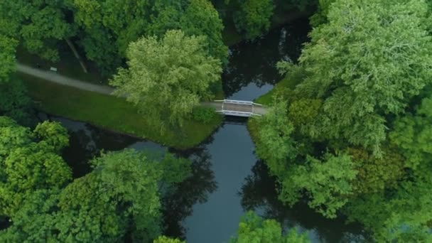 Bridge Park Downtown Skierniewice Mostek Staw Luftaufnahme Polen Hochwertiges Filmmaterial — Stockvideo