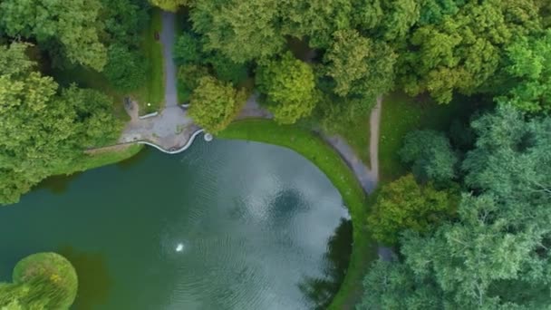 Pond Staw Park Aleksandra Siedlce Aerial View Poland High Quality — Stock Video