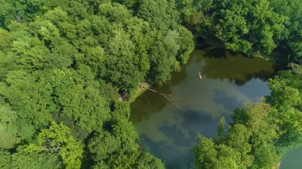 Devrilmiş Ağaç Göletleri Pruszkow Stawy Potulickich Havadan Görünümü Polonya Yüksek — Stok video