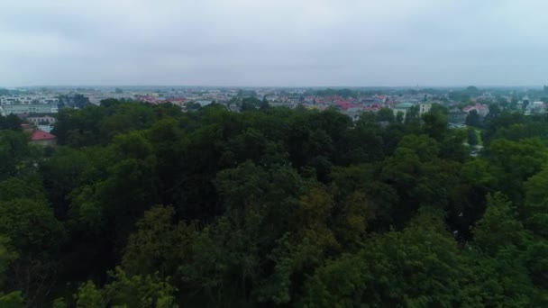 Güzel Panorama Skierniewice Krajobraz Hava Manzaralı Polonya Yüksek Kalite Görüntü — Stok video
